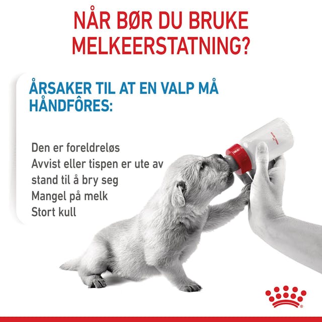 Royal Canin Morsmelkerstatning 400g...jfif